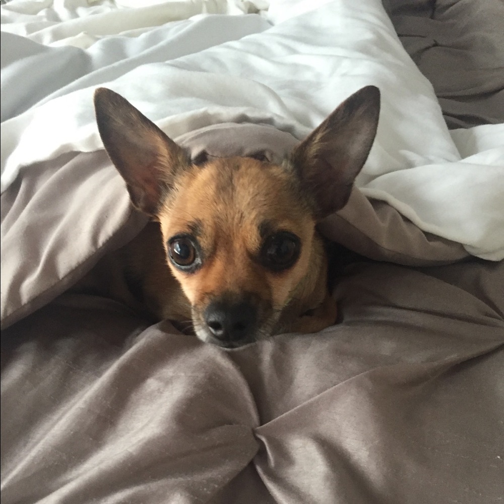 Meet your Posher, Rachael